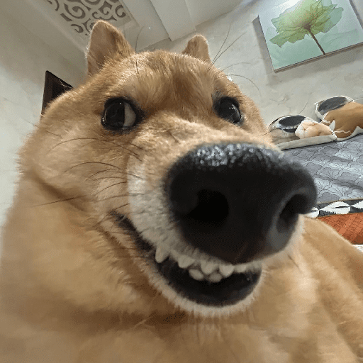 Animais 1