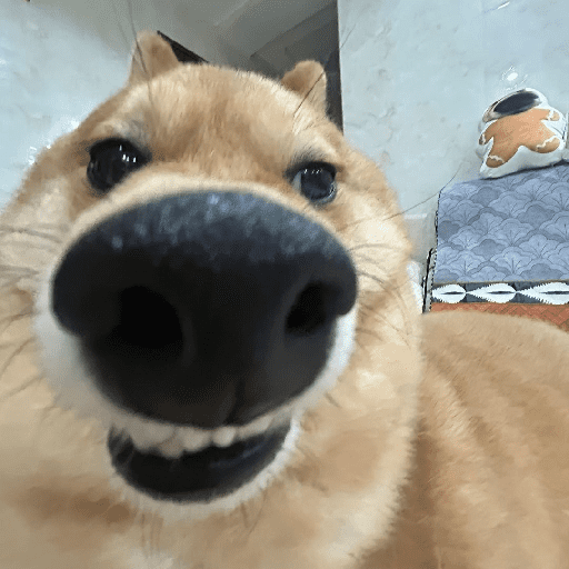 Animais 2