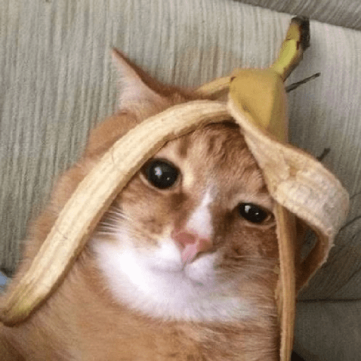 Animais 3