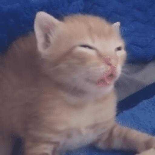 Animais 5