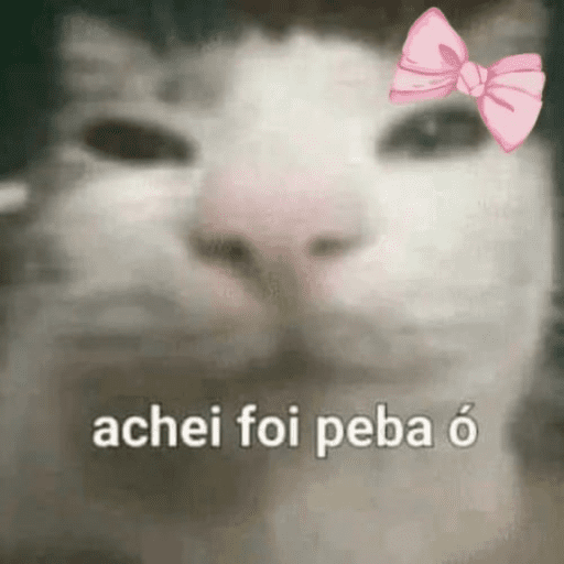 Animais 13