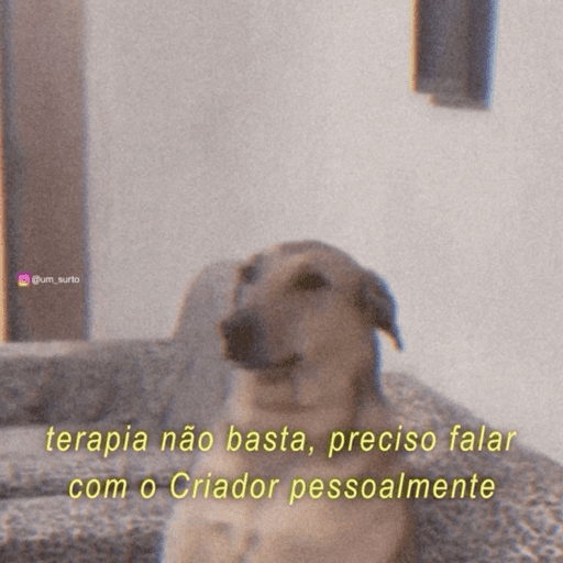 Animais 10