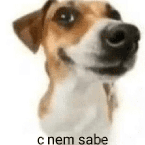 Animais 14