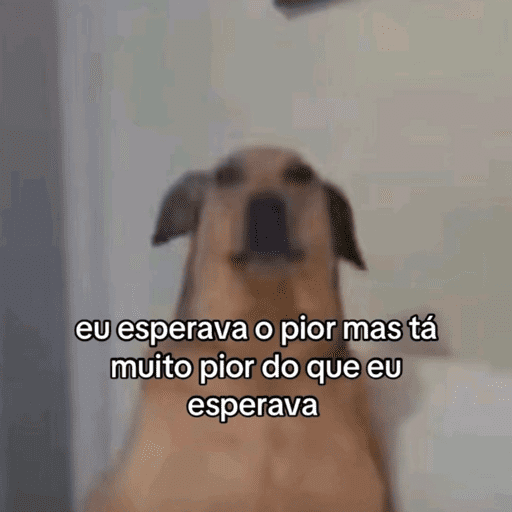 Animais 11