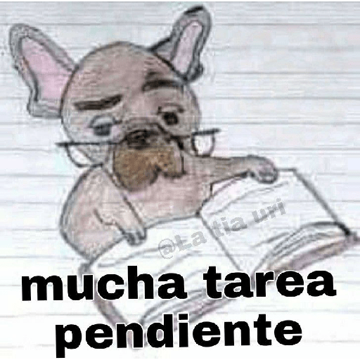 Memes del pintereste😝 6