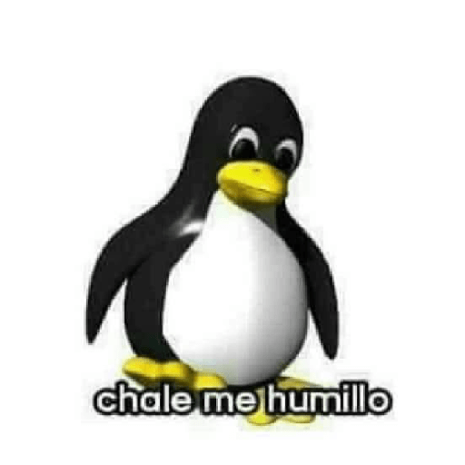 Memes del pintereste😝 16
