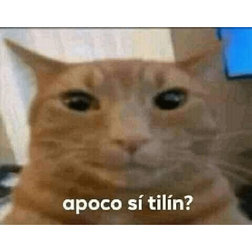 Memes del pintereste😝 26