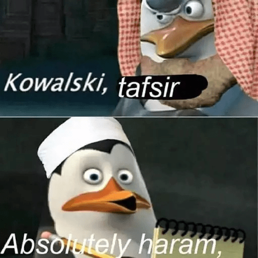 Memes 4 4