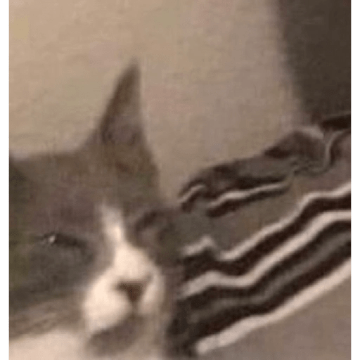 Memes 4 21