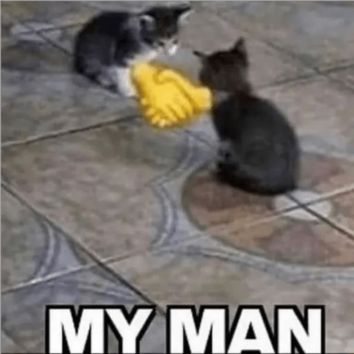Memes 4 29