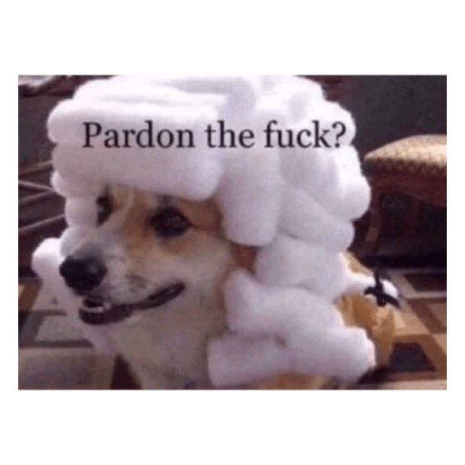 Memes 4 13