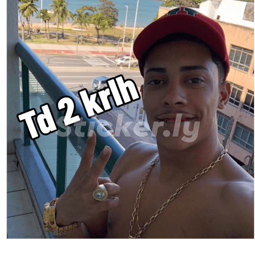 Cria 17