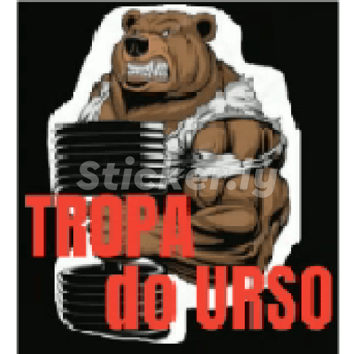 Cria 16