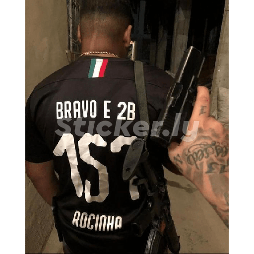 Cria 29