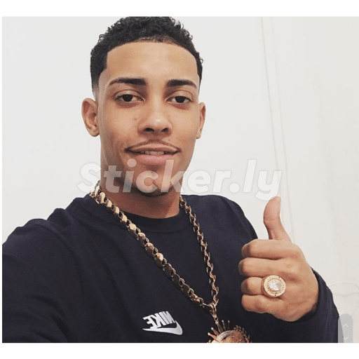 Cria 20