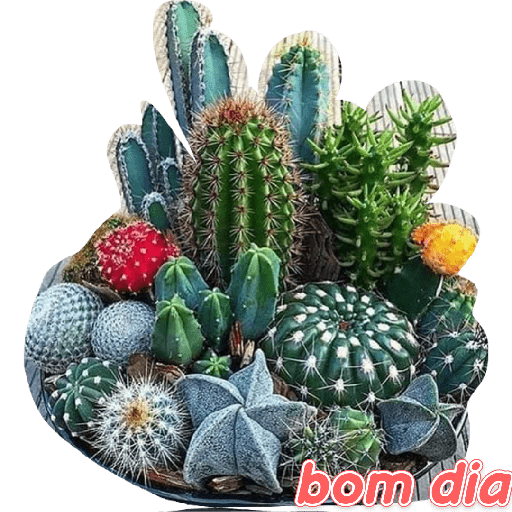 Deboche 3