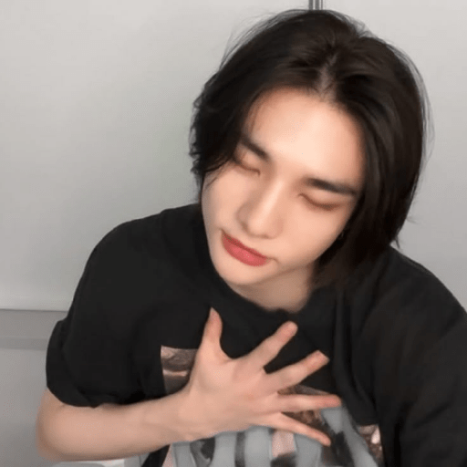 ●⃘ㅤㅤ🌸ㅤㅤ𓆩   Hyunjin  𓆪ㅤㅤ𔒱𔒱 1