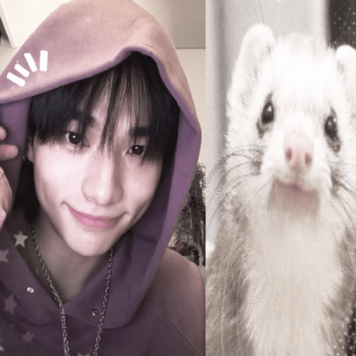 ●⃘ㅤㅤ🌸ㅤㅤ𓆩   Hyunjin  𓆪ㅤㅤ𔒱𔒱 11
