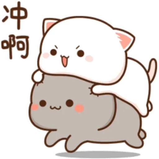 Peach Goma Cat Gif 26