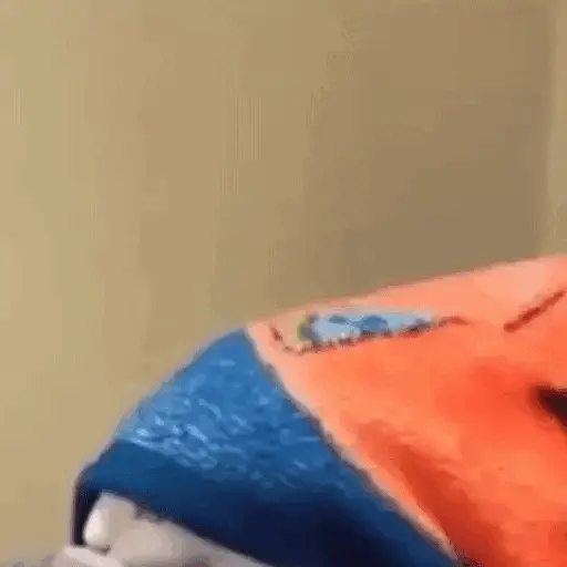 Animais Gif 9