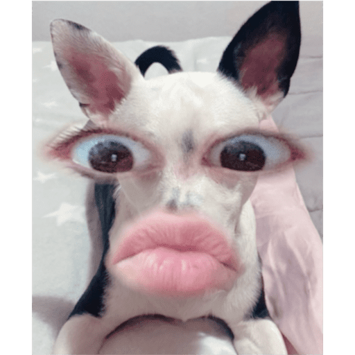 Mis pegatinas 30