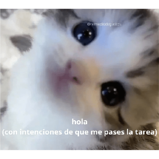 Hola (con intencion de...)