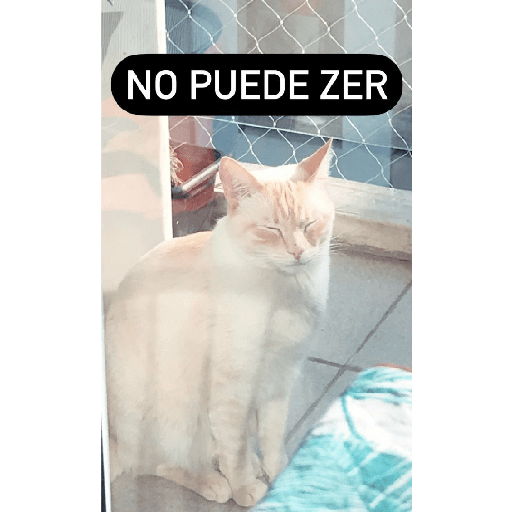 Gatis