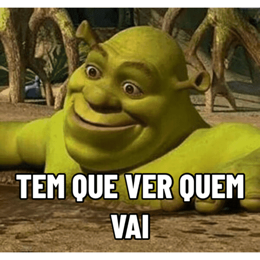 Memes Diversos 11