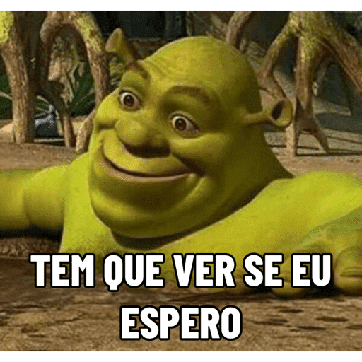 Memes Diversos 15