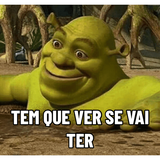 Memes Diversos 16