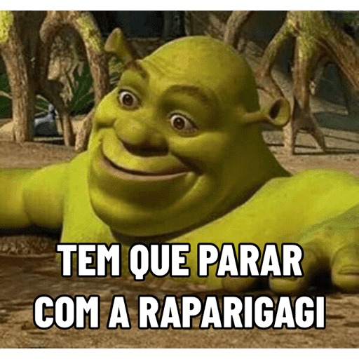 Memes Diversos 20