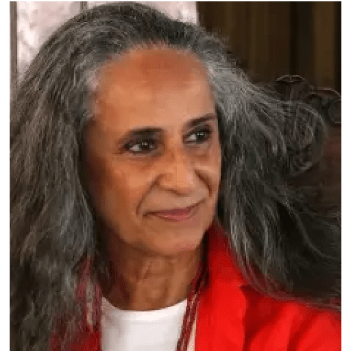 Abelha Rainha 6