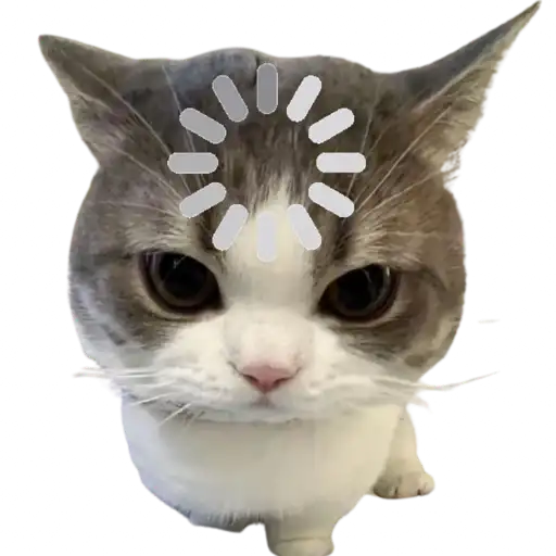 Mimimi
