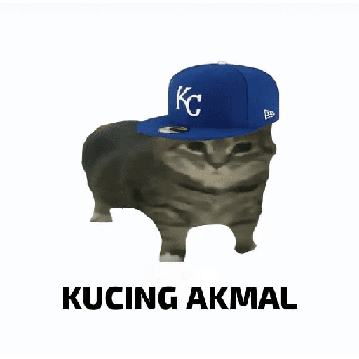 kucing akmal