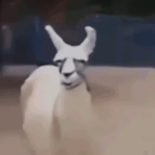 Clips 7