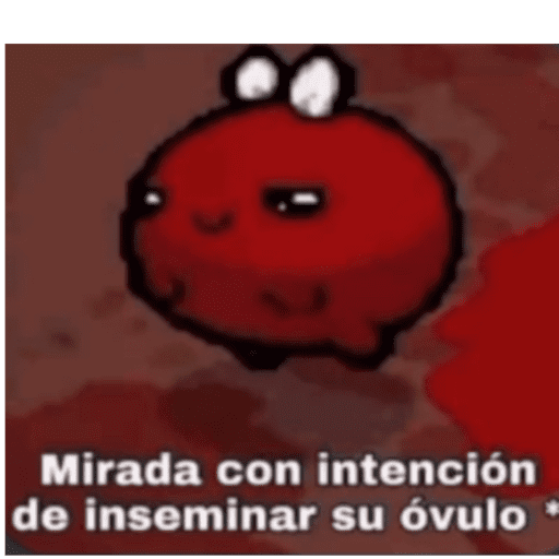 Xd  14