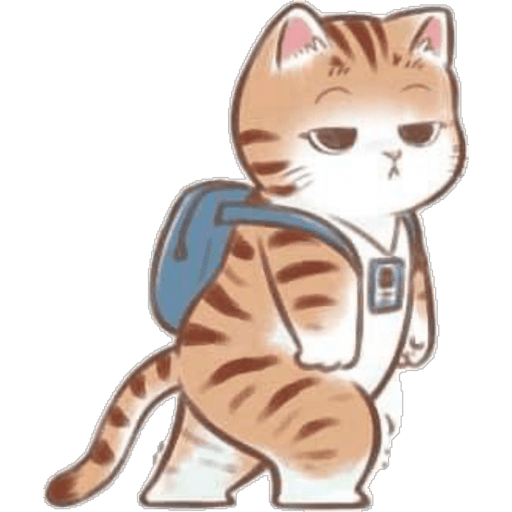 Gatitos  16