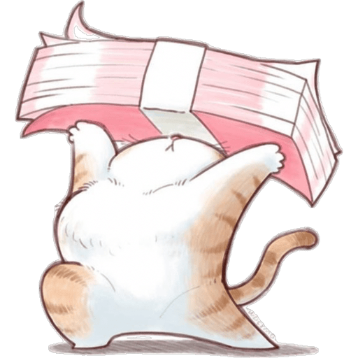 Gatitos  13