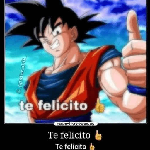 Goku le gana 13