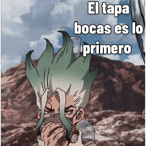 Senku 12