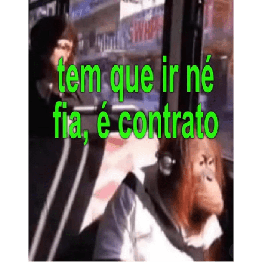 Q caraio 6