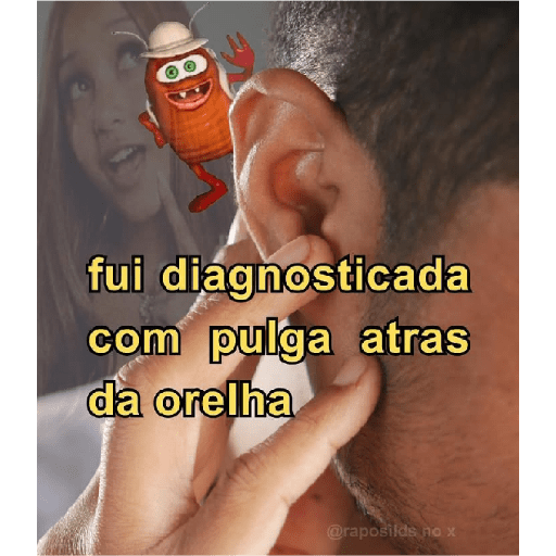 Q caraio 5