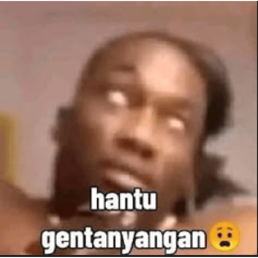 Pepet 14