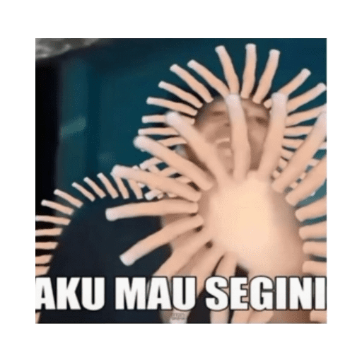 Pepet 8