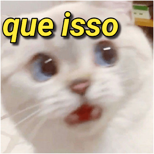 MEMES DOS MEMES 17