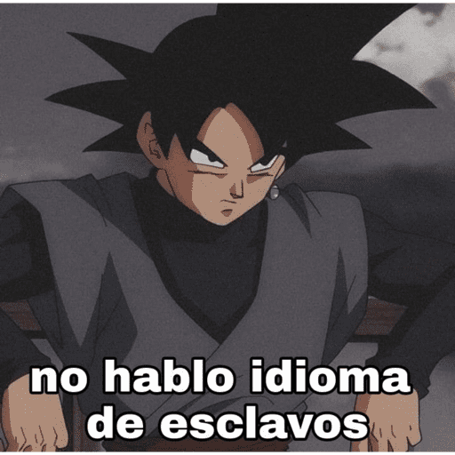 Memes 21 11