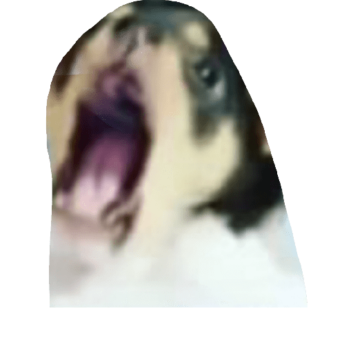 Fruitydog 30
