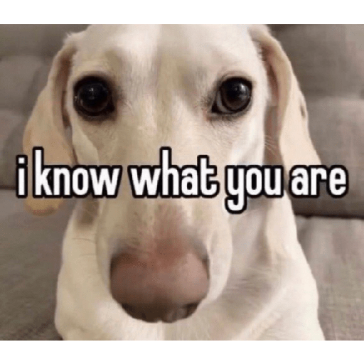 Fruitydog 3