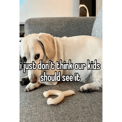 Fruitydog 9