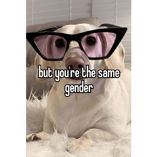 Fruitydog 17